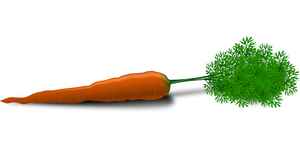 la carotte aliment coupe faim minceur 